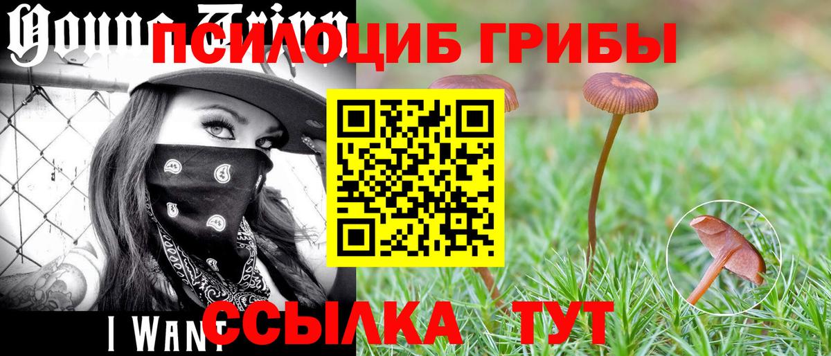 Галлюциногенные грибы прущие грибы Новодвинск